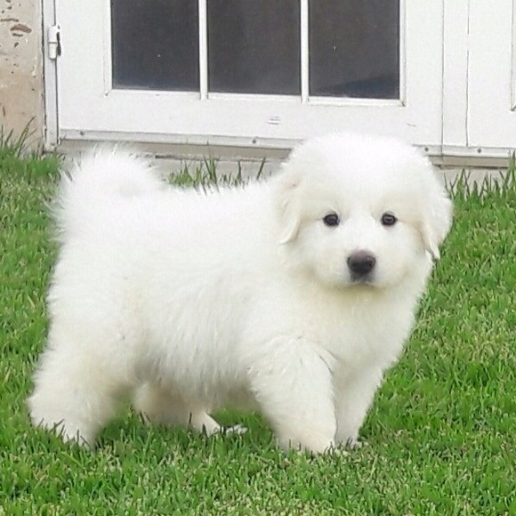 Meet your Posher, Maria - Picture 1 of 1